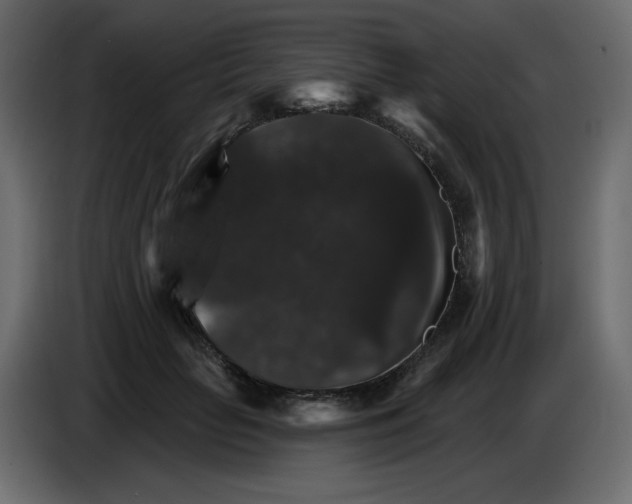 X0000084520653200703231631