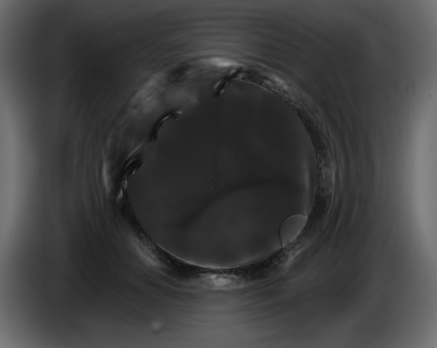 X0000084520654200703231631