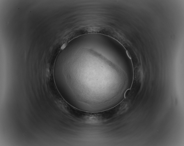 X0000084520655200703231632
