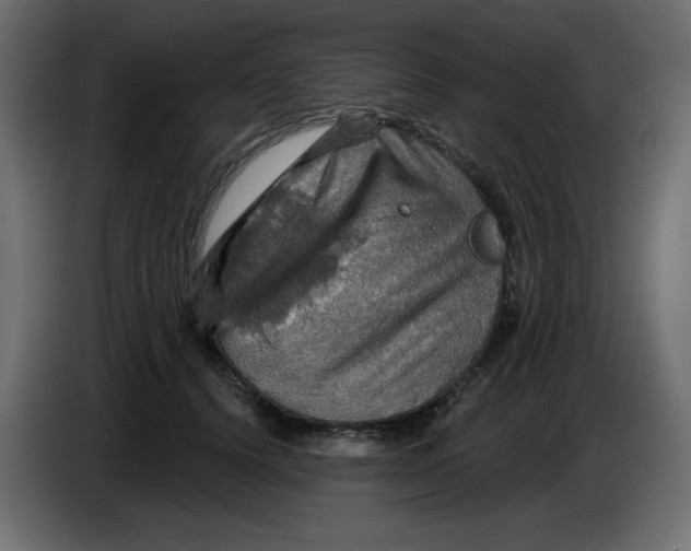 X0000084520656200703231632