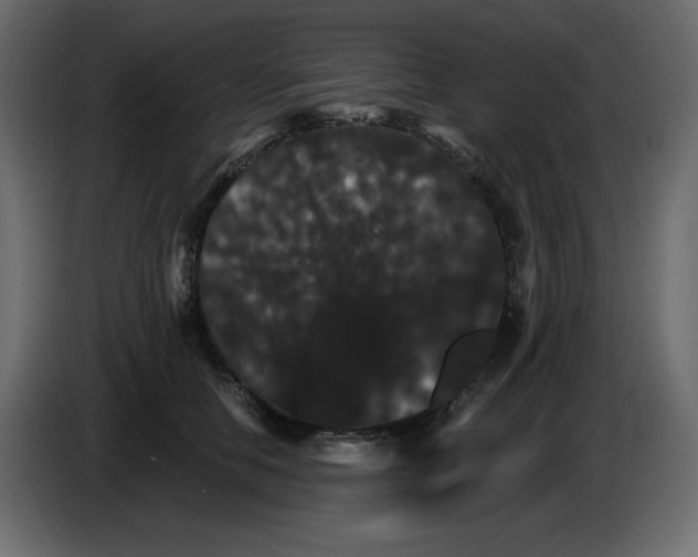 X0000084520658200703231632