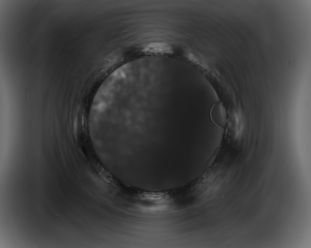 X0000084520659200703231632