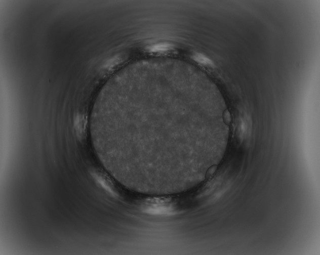 X0000084520660200703231632