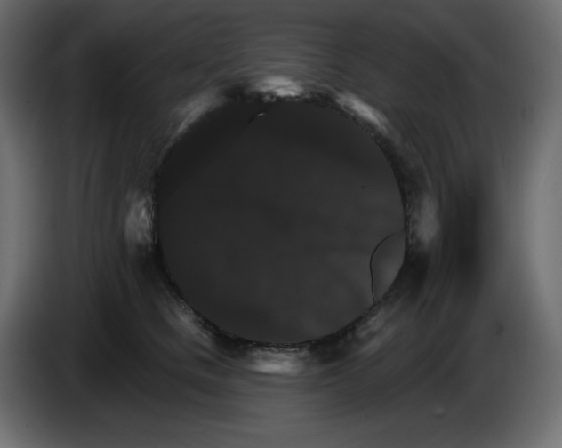 X0000084520661200703231632