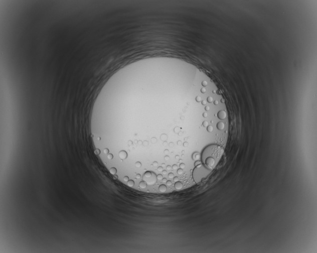 X0000084520662200703231632