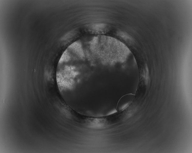 X0000084520663200703231632