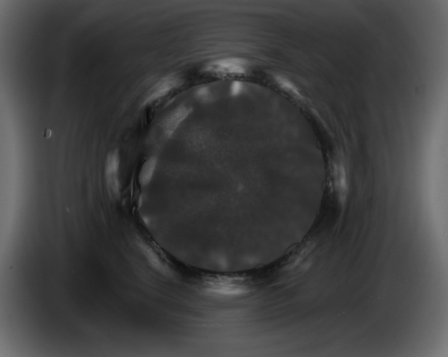 X0000084520664200703231632