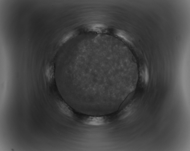X0000084520665200703231632