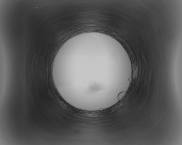 X0000084520666200703231632