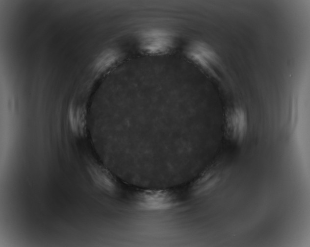 X0000084520667200703231632