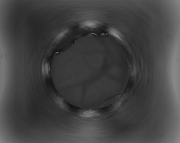 X0000084520669200703231632