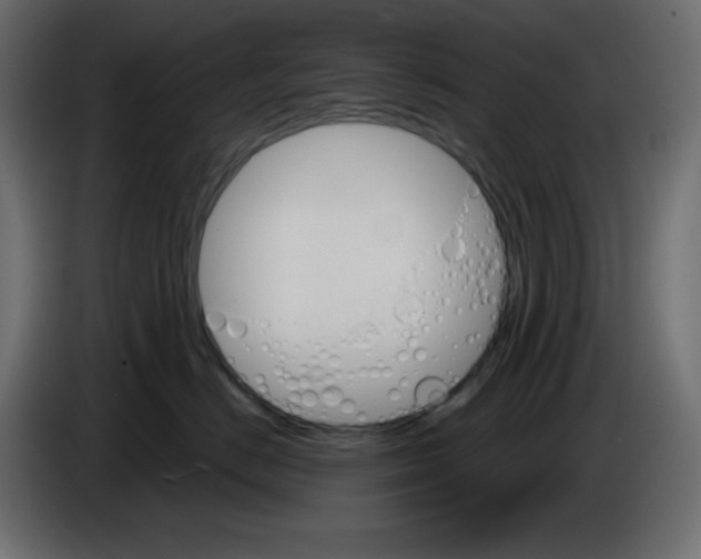 X0000084520670200703231632