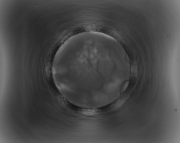 X0000084520671200703231632