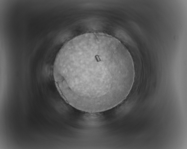 X0000084520672200703231632