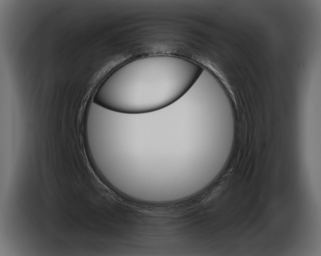 X0000084520673200703231631