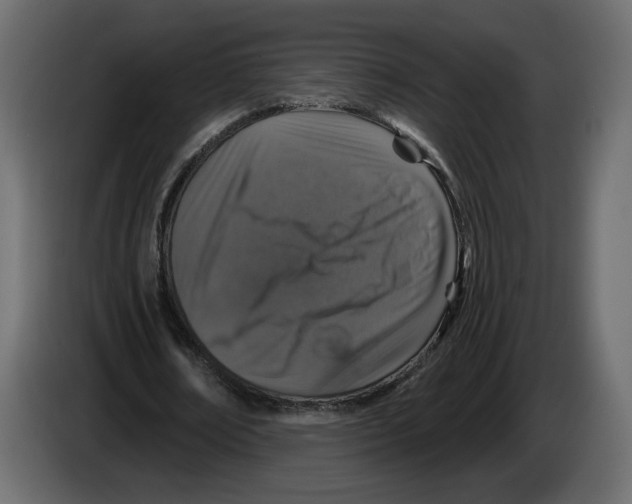 X0000084520674200703231631