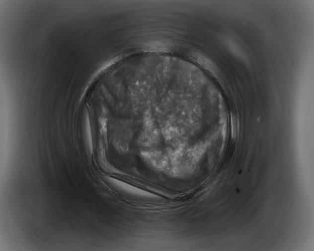 X0000084520675200703231631