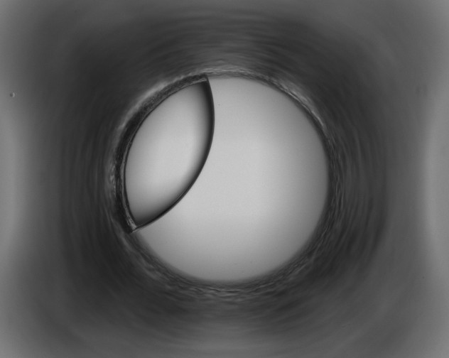 X0000084520676200703231631