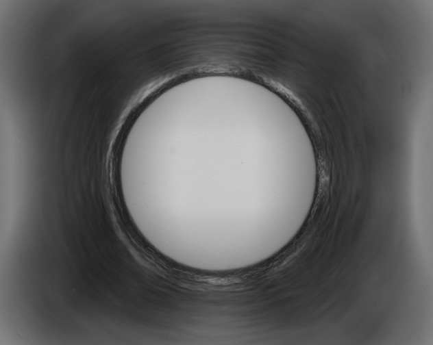 X0000084520678200703231631