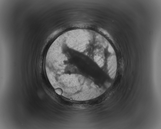 X0000084520679200703231631