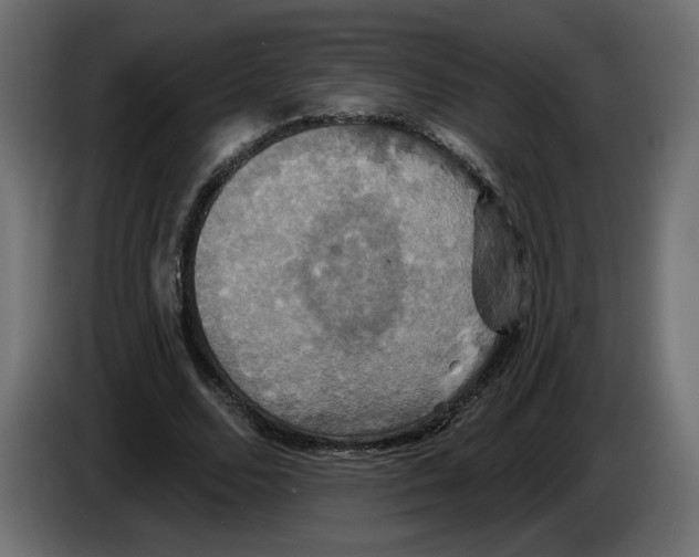 X0000084520680200703231631