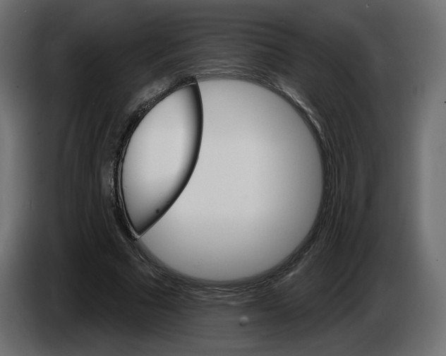 X0000084520681200703231631