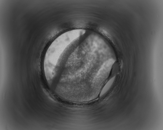 X0000084520682200703231631