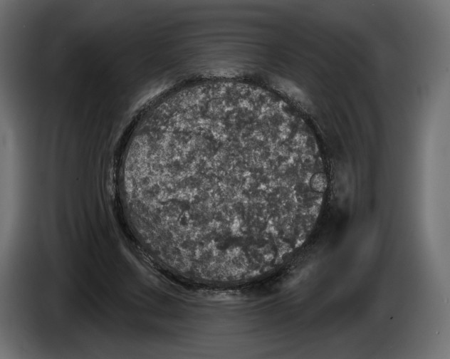 X0000084520683200703231631