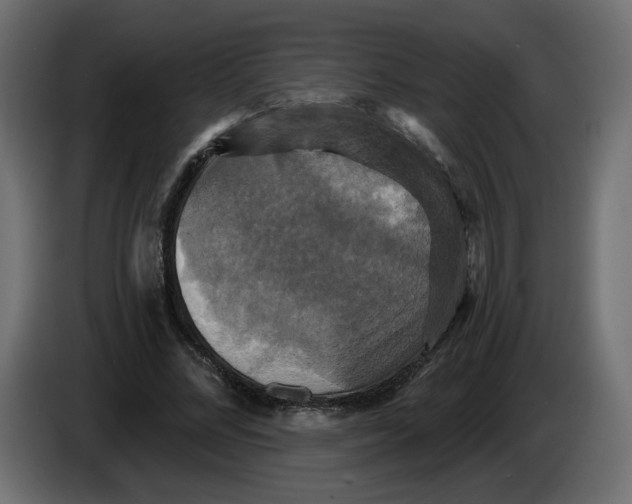 X0000084520684200703231631