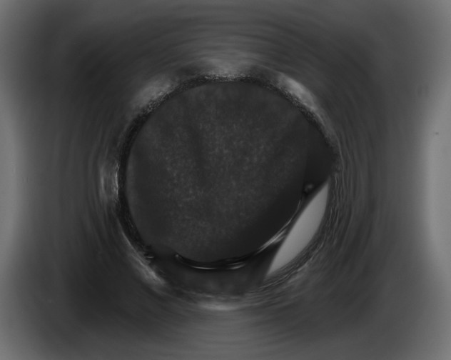 X0000084520685200703231631