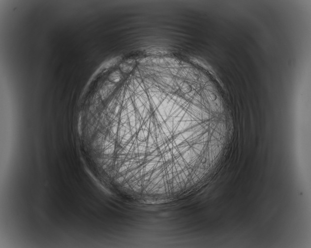 X0000084520686200703231631