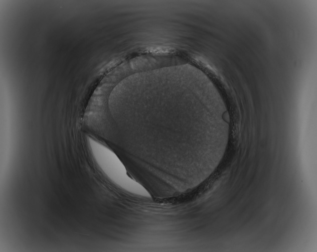 X0000084520689200703231631