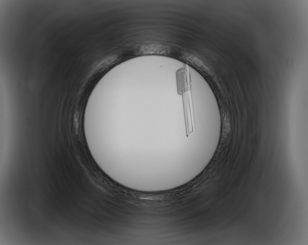 X0000084520690200703231631