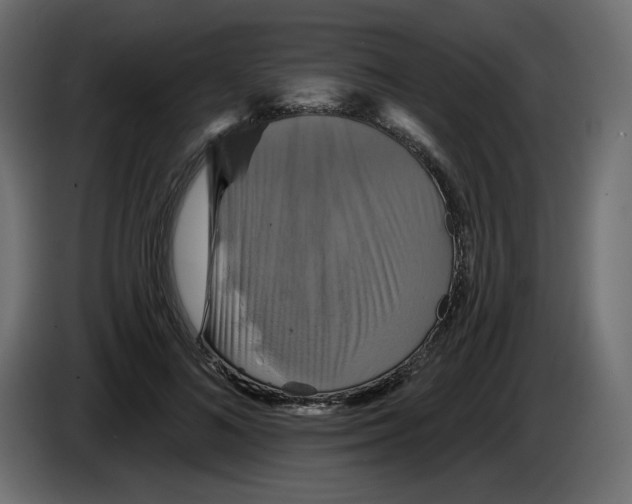 X0000084520692200703231631