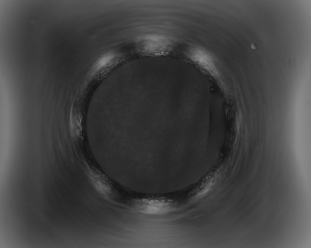 X0000084520693200703231631