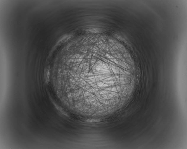 X0000084520694200703231631