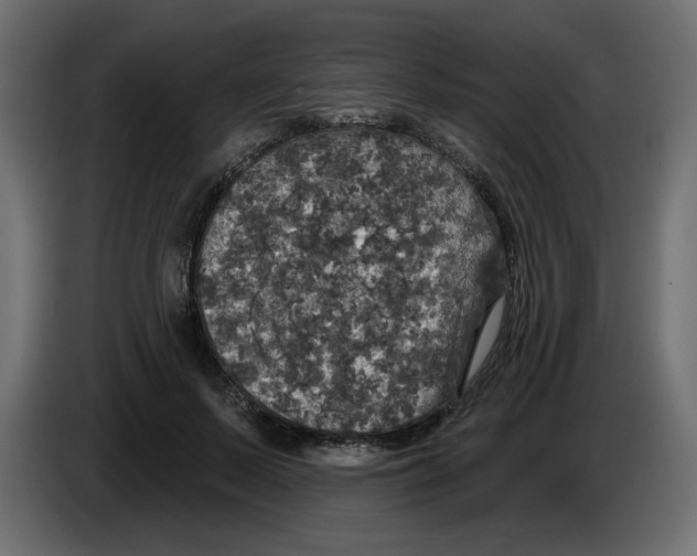 X0000084520695200703231631