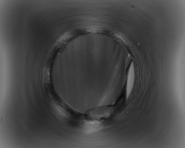 X0000084520696200703231631