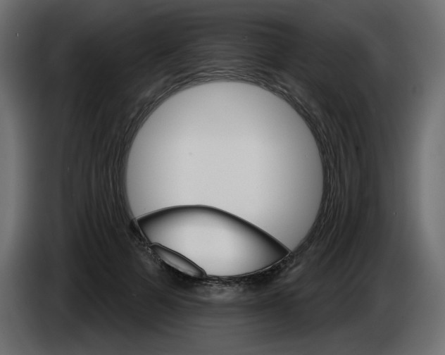 X0000084520697200703231631