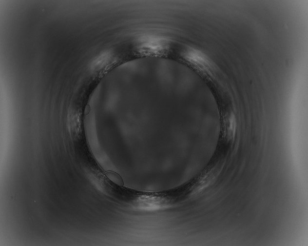 X0000084520699200703231631