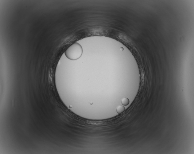 X0000084520702200703231631