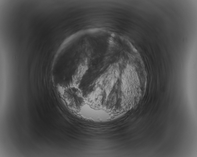 X0000084520703200703231631