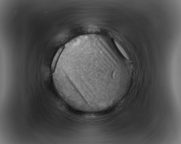 X0000084520704200703231631