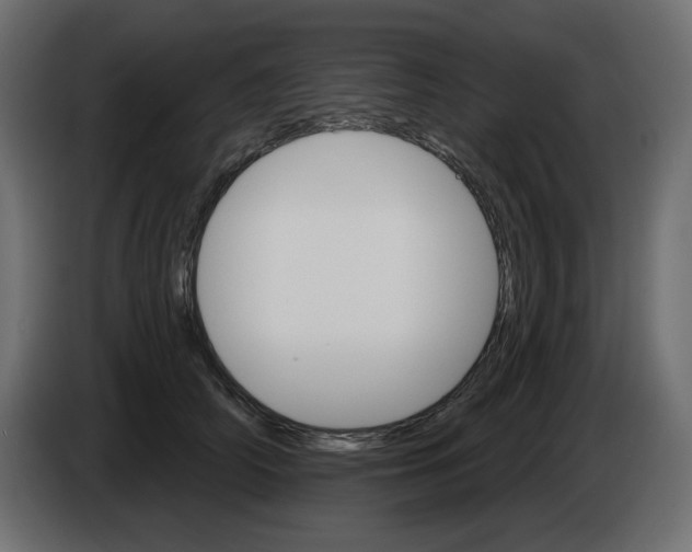 X0000084520706200703231631