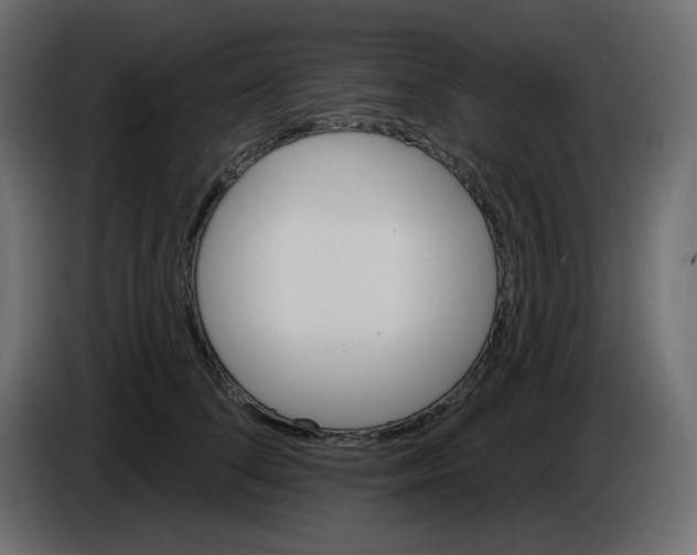 X0000084520708200703231631