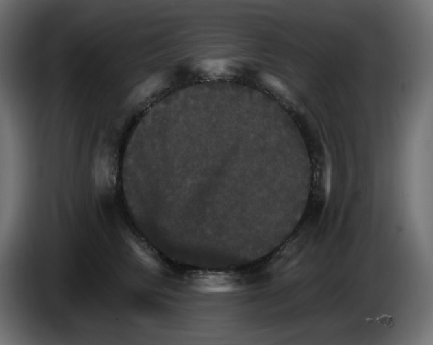 X0000084520710200703231631