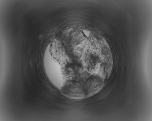 X0000084520711200703231631