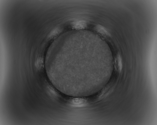 X0000084520714200703231630