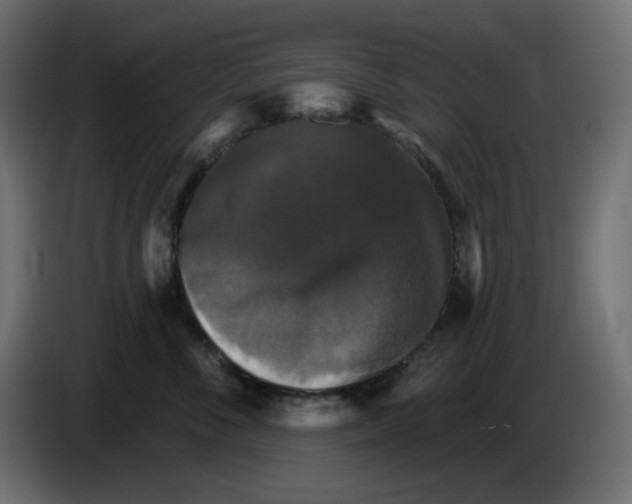 X0000084520716200703231630