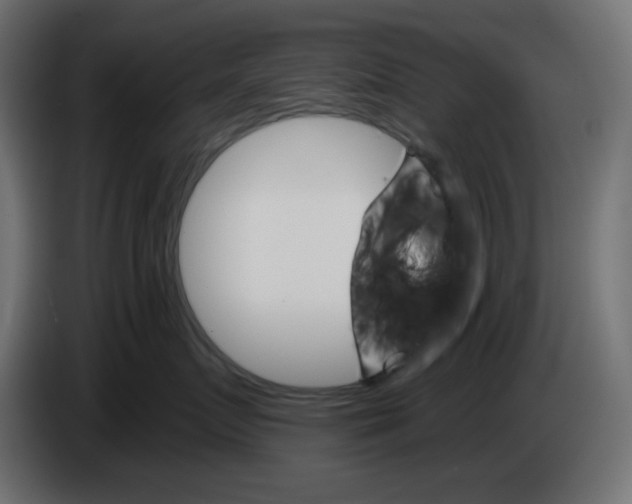 X0000084520719200703231630